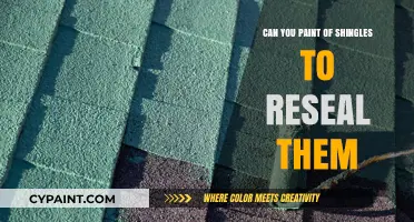 Reviving Your Roof: The DIY Guide to Painting and Resealing Shingles