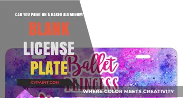 Painting Baked Aluminum License Plates: Tips and Techniques for Customization