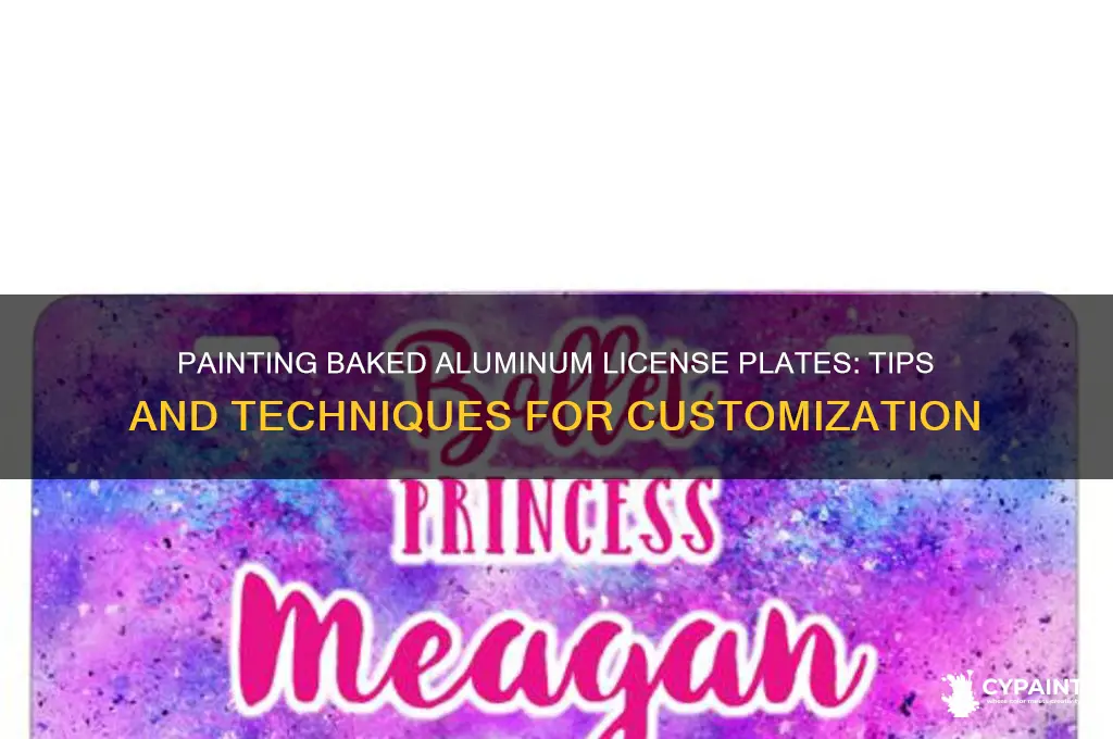 can you paint on a baked aluminum blank license plate
