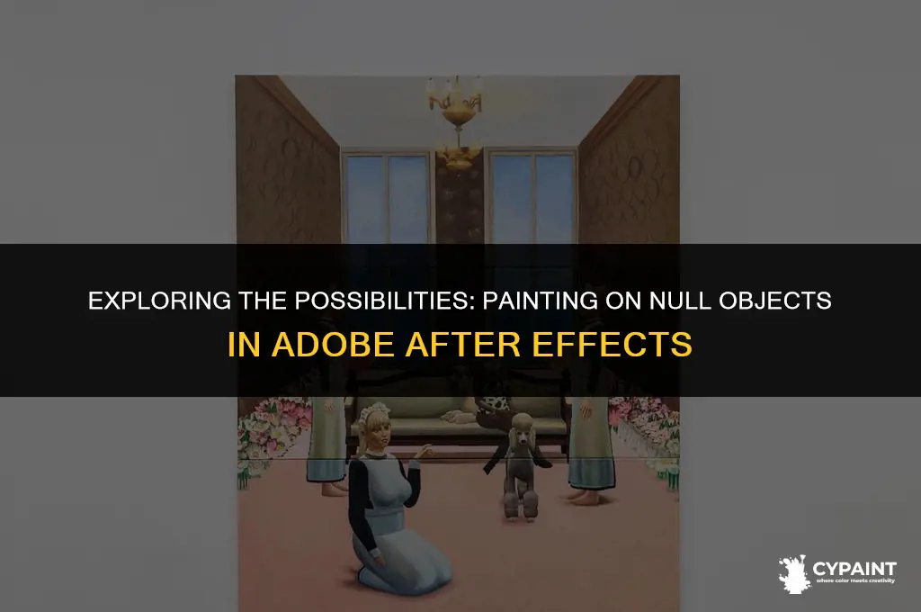 can you paint on a null object ae