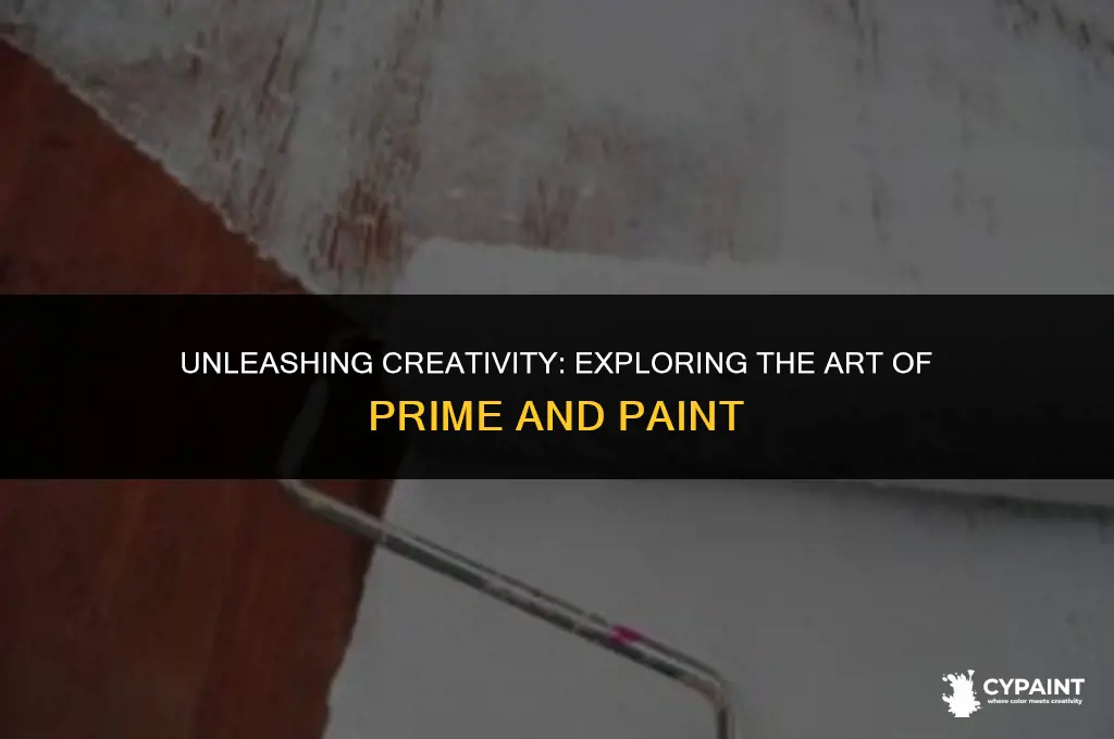 can you paint on a prime and paint