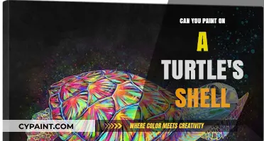 Exploring the Art of Painting on Turtle Shells: A Creative Guide