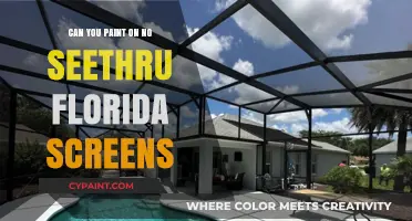 Revamping Your View: Painting on No-See-Thru Florida Screens
