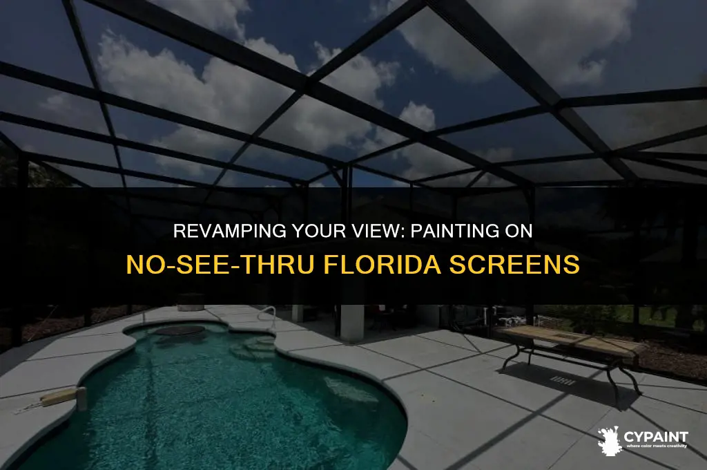 can you paint on no seethru florida screens