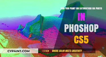 Enhance Photos with Saturation Painting in Photoshop CS5: A Guide