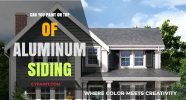 Revamping Your Home's Exterior: Painting Over Aluminum Siding