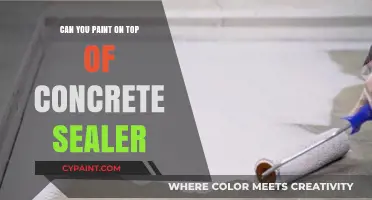 Revamping Concrete Surfaces: Painting Over Sealer - Yes or No?