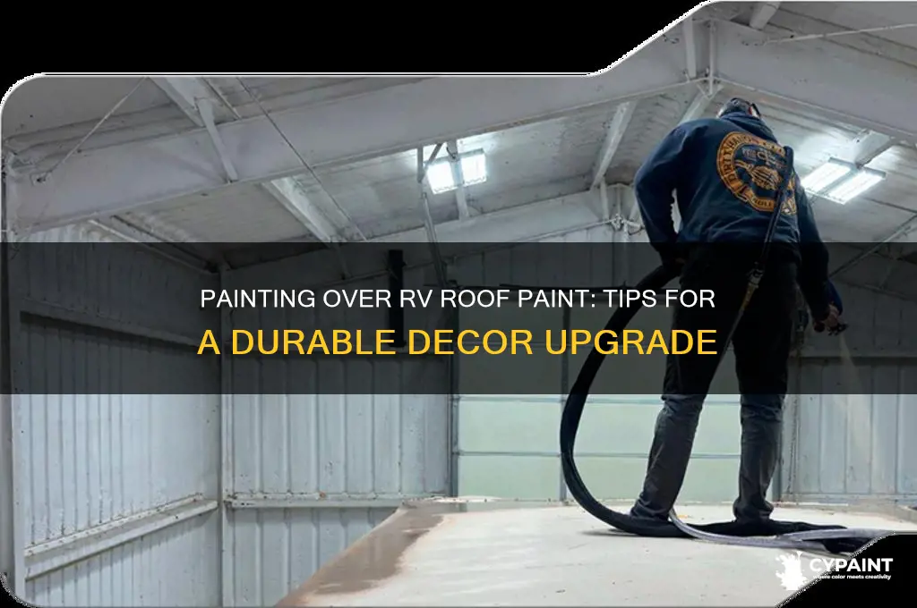 can you paint on top of decor rv roof paint