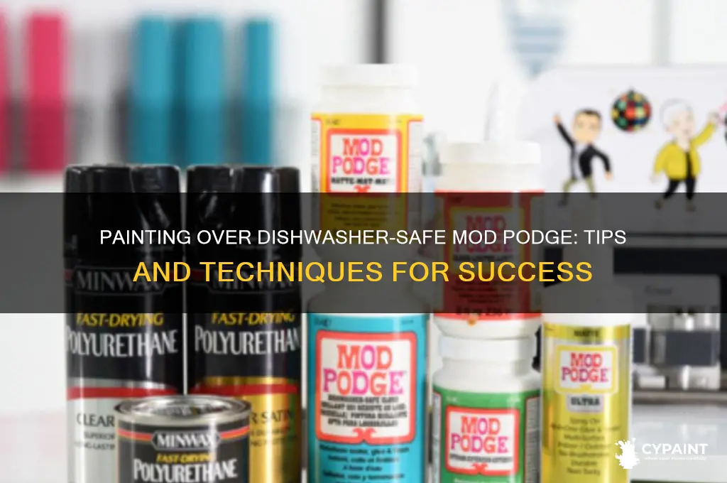 can you paint on top of dishwaser safe modge podge