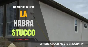Stucco Painting: Can You Paint La Habra Stucco?