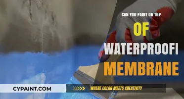 Enhancing Waterproofing Membranes with Paint: A Comprehensive Guide