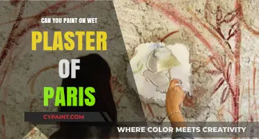 Exploring the Art of Painting on Wet Plaster of Paris