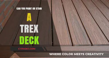 Revamping Your Outdoor Space: Painting or Staining a Trex Deck