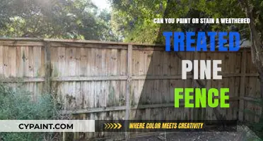 Reviving Weathered Treated Pine Fences: Painting and Staining Tips