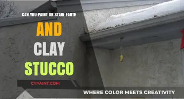 Stucco Facades: Paint or Stain?