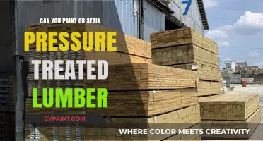 Revamping Your Outdoor Space: Painting or Staining Pressure-Treated Lumber