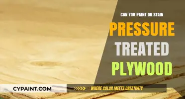 Revamping Your Outdoor Space: Painting or Staining Pressure-Treated Plywood