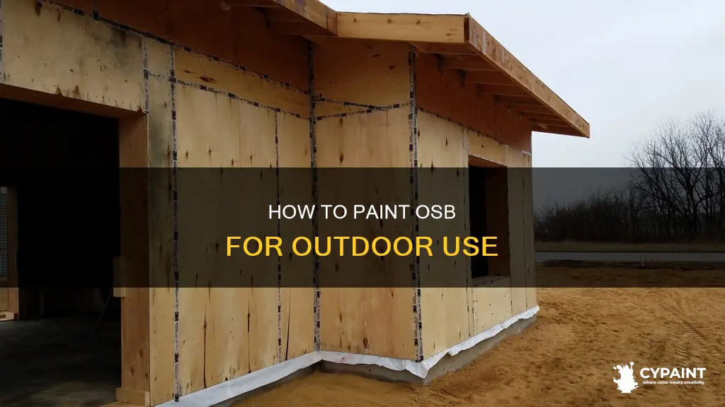 can you paint oriented strand board and put outside