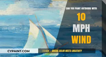 Braving the Breeze: Tips for Painting Outdoors in Windy Conditions