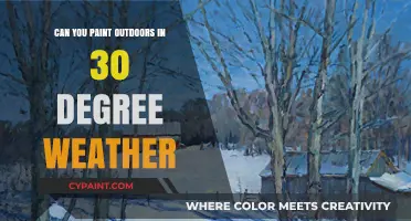 Embracing the Chill: Outdoor Painting in 30-Degree Weather