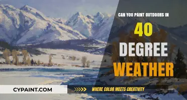 Chilling Creativity: Painting Outdoors in 40 Degree Weather