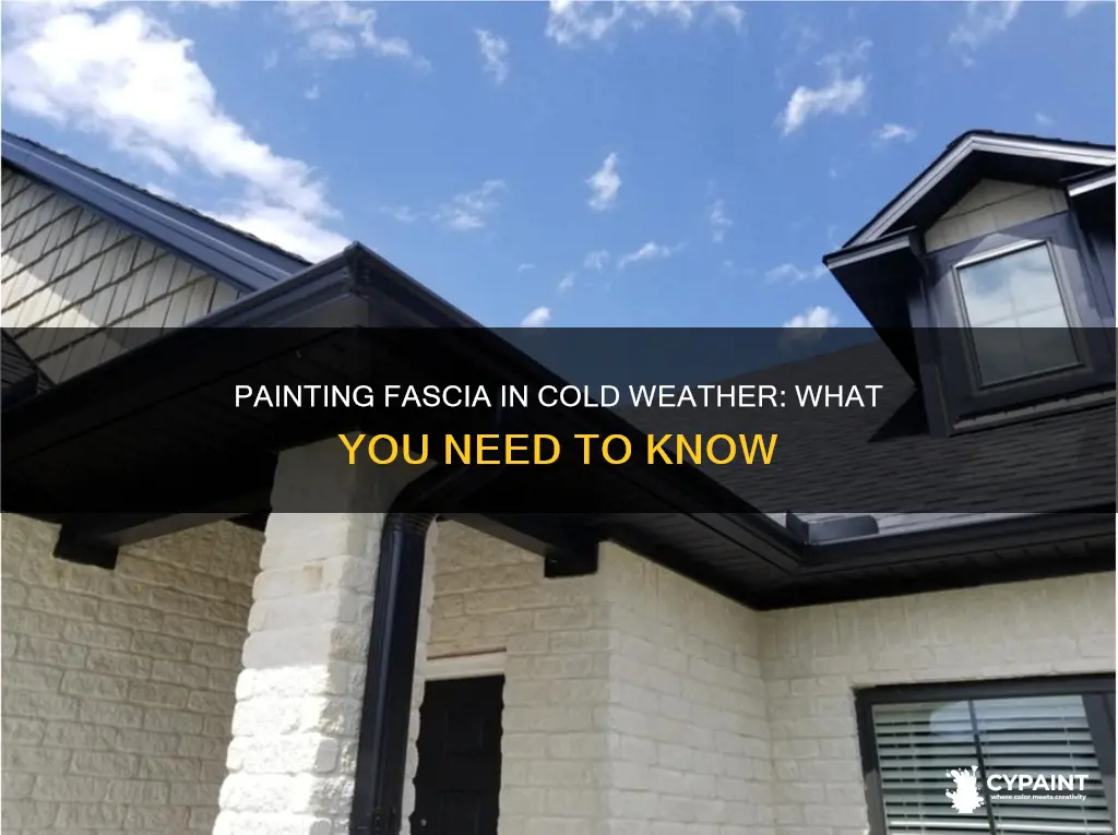 can you paint outside fascia when it