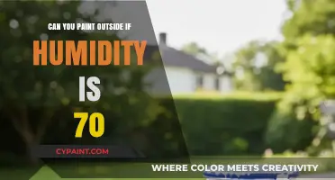Exploring the Effects of 70% Humidity on Outdoor Painting Projects