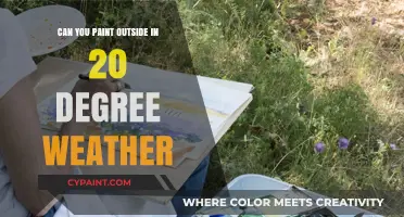 Chilly Canvas: Tips for Painting Outdoors in 20° Weather