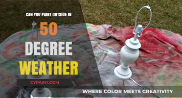 Chilly Creativity: Painting Outdoors in 50 Degrees