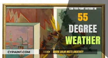 Chilly Canvas: Exploring the Possibilities of Painting in 55°F Weather