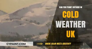 Chilly Canvas: Tips for Painting Outdoors in UK Cold Weather