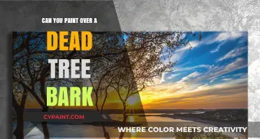 Reviving Nature's Canvas: Painting Over Dead Tree Bark