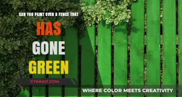 Reviving Green Fences: Painting Over Algae and Moss for a Fresh Look