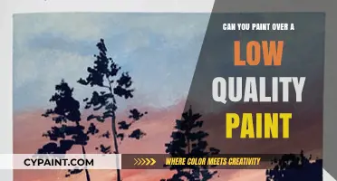 Revamping Your Walls: Can You Paint Over Low-Quality Paint?