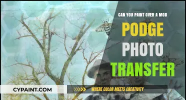 How to Paint Over Mod Podge Photo Transfers