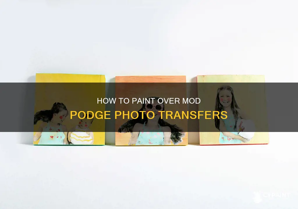 can you paint over a mod podge photo transfer