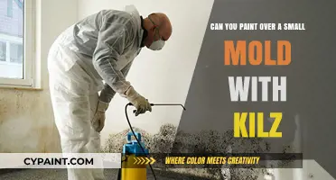 How to Paint Over Small Molds with Kilz