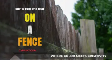 Reviving Your Fence: A Guide to Painting Over Algae