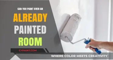 Revamping Your Space: The Do's and Don'ts of Painting Over an Existing Color