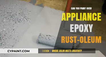 Revamping Your Appliances: Painting Over Epoxy Rust-Oleum