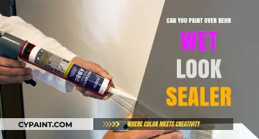 Revamping Your Space: Painting Over Behr Wet Look Sealer
