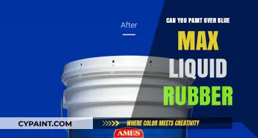 Revamping Your Roof: Can You Paint Over Blue Max Liquid Rubber?