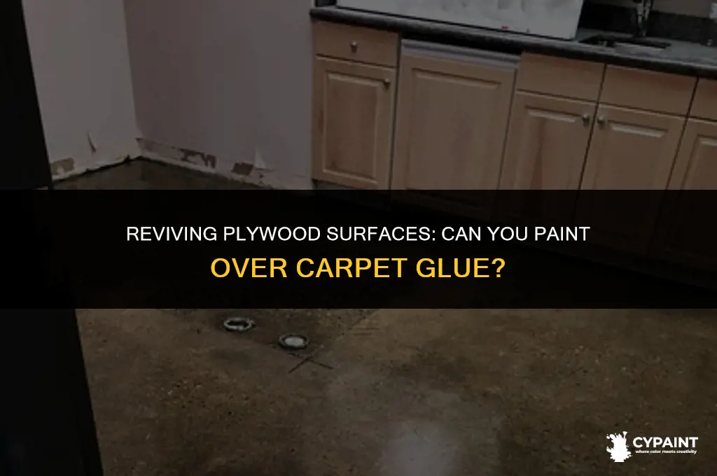 can you paint over carpet glue on plywood