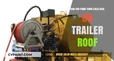 How to Paint Over Cold Seal on Trailer Roofs