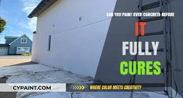 How to Paint Concrete: Curing Time and Techniques
