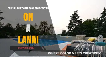 Painting Over Cool Deck Coating: Lanai Refresh Tips and Tricks