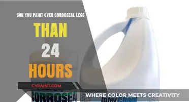 Primer Prep: Painting Over Corroseal in Less Than 24 Hours