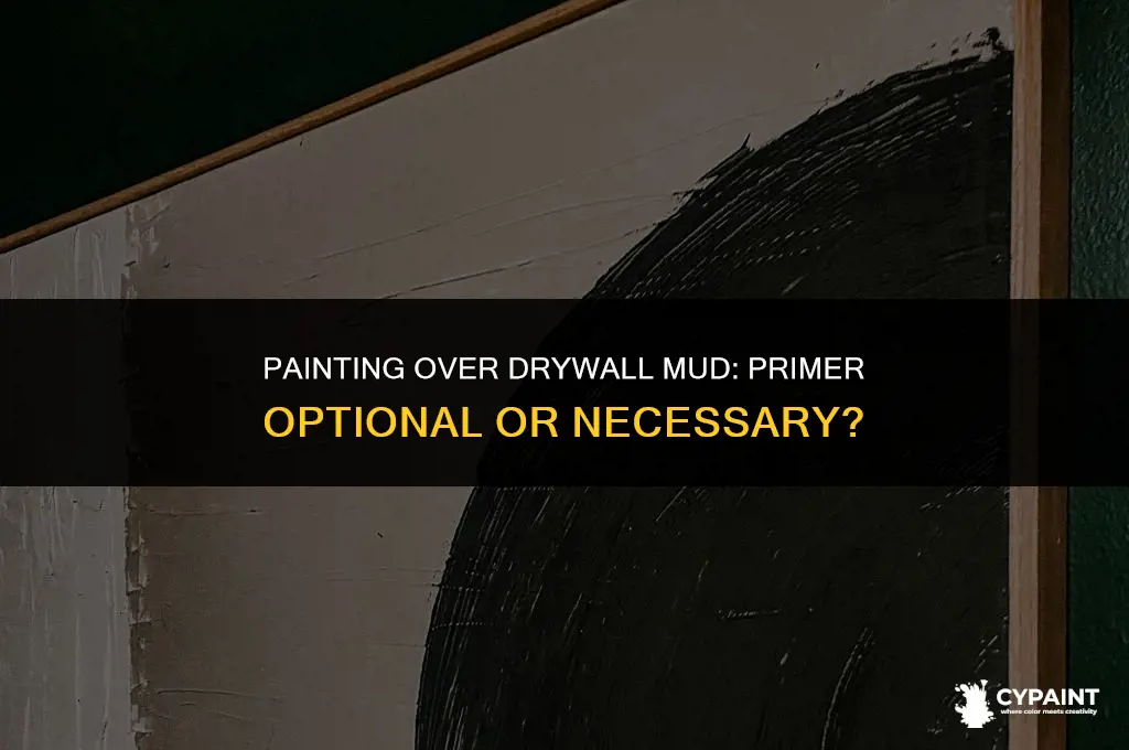 can you paint over drywall mud without primer
