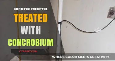 Revamping Your Walls: Painting Over Drywall Treated with Concrobium