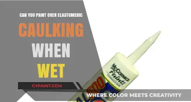 Painting Over Elastomeric Caulking: A Comprehensive Guide